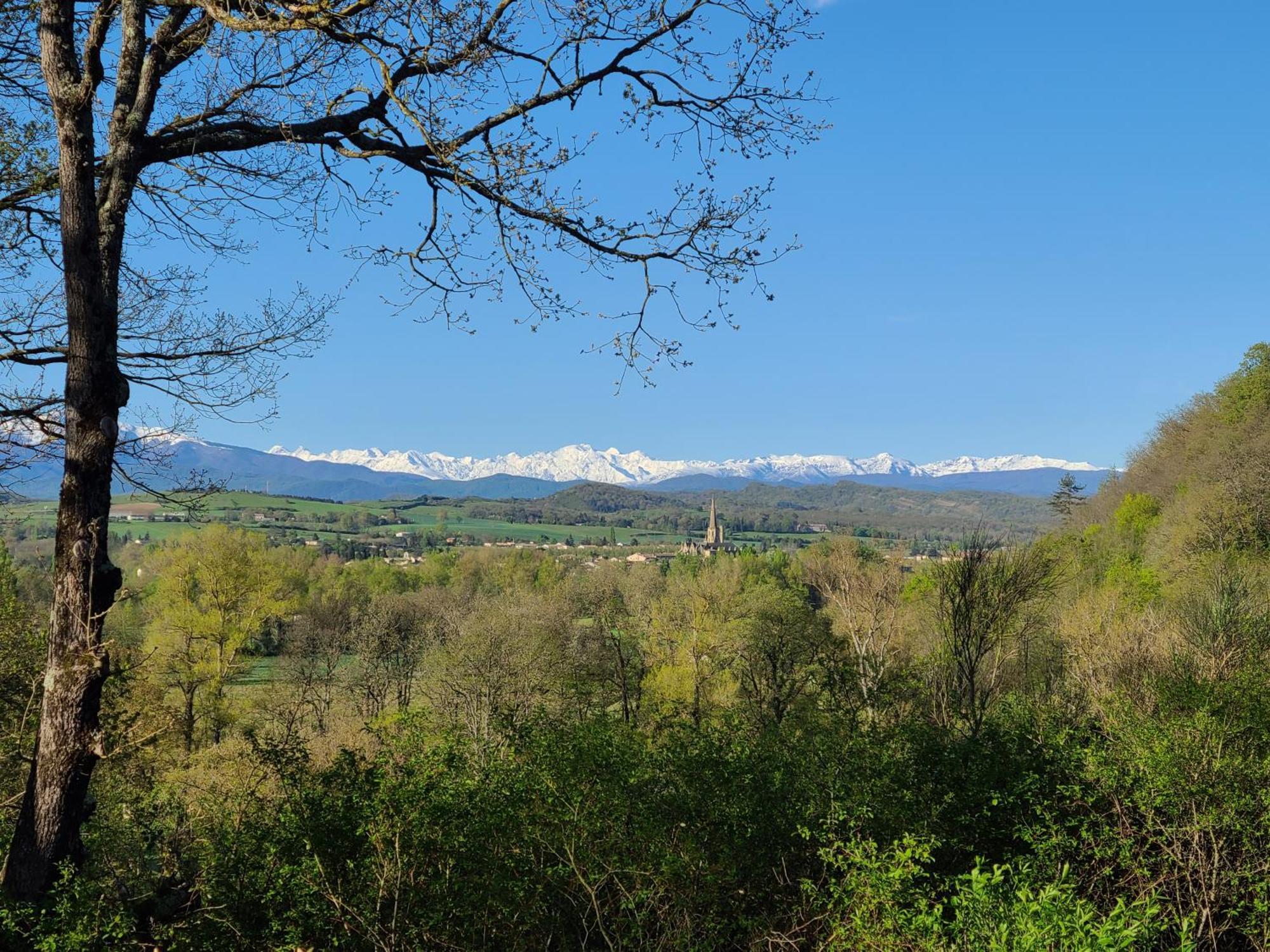 - - - - -Les Colombages - - - - Chambre D'Hotes-Gite- Classement Gite 3 Etoiles Mirepoix  Εξωτερικό φωτογραφία